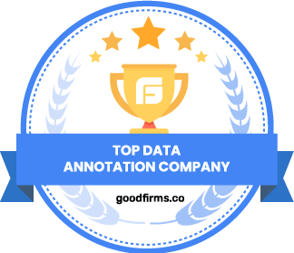 Top Data Annotation Company